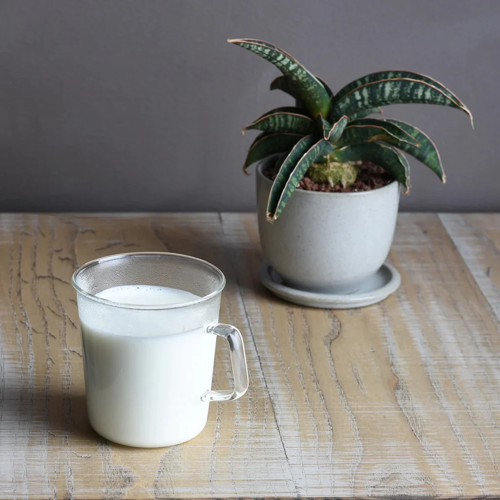 CAST milk mug 310ml - Image 3